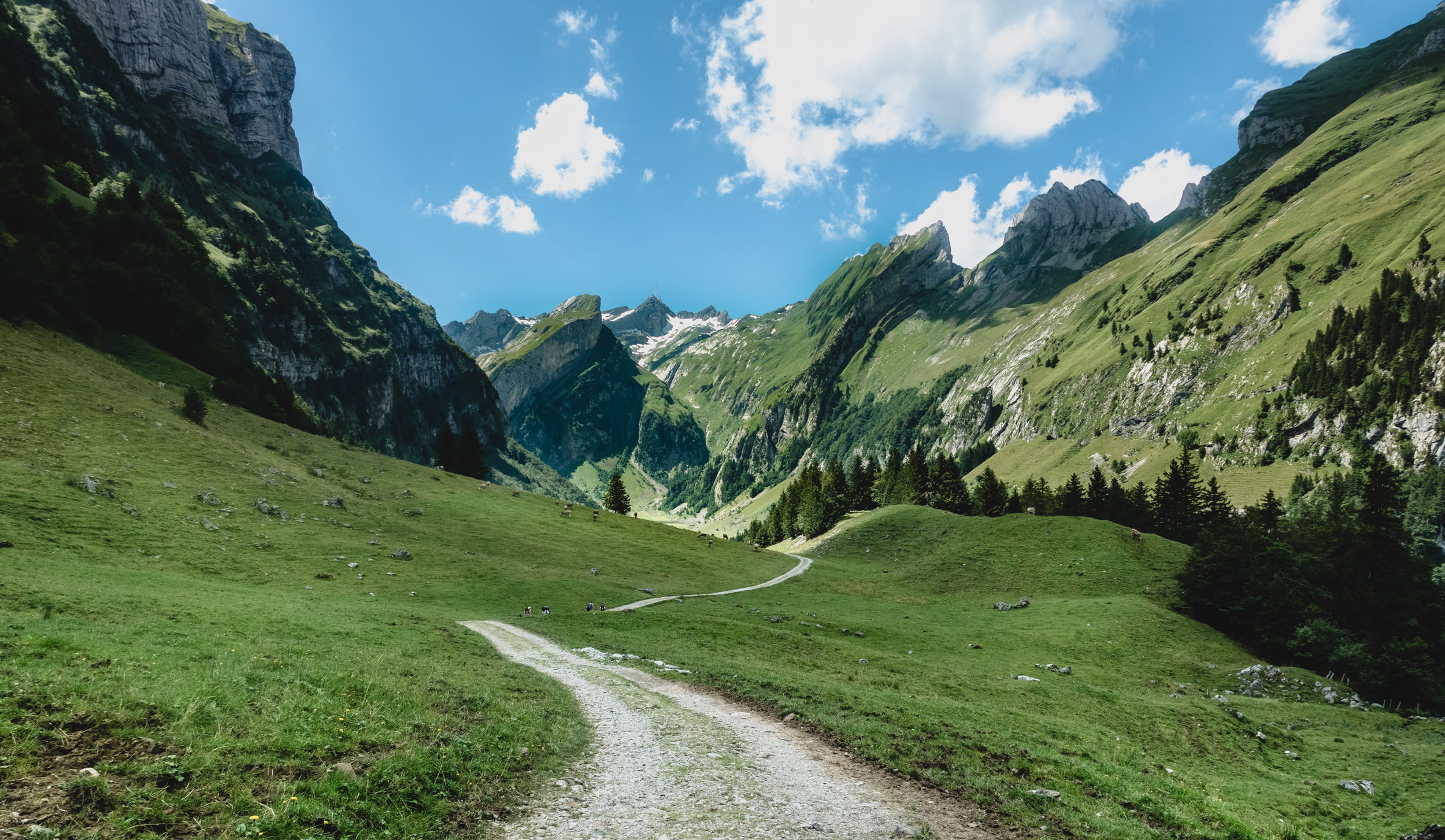 European Group on Earth Observations