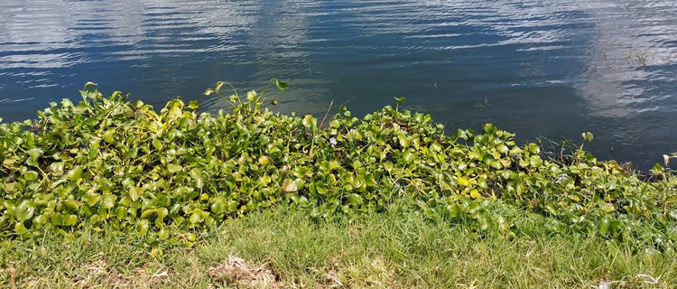 Image: University of Twente